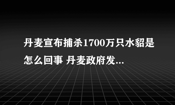 丹麦宣布捕杀1700万只水貂是怎么回事 丹麦政府发布最新回应