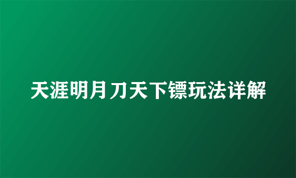 天涯明月刀天下镖玩法详解