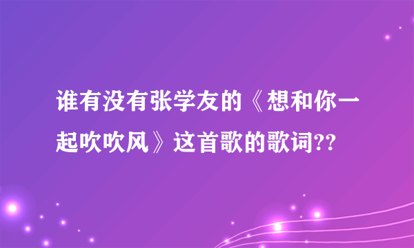 谁有没有张学友的《想和你一起吹吹风》这首歌的歌词??