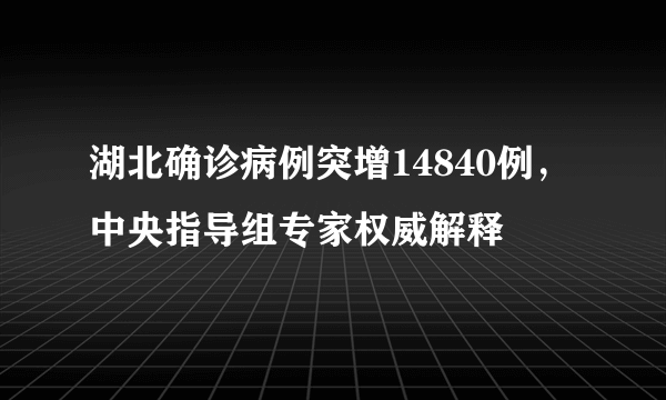 湖北确诊病例突增14840例，中央指导组专家权威解释