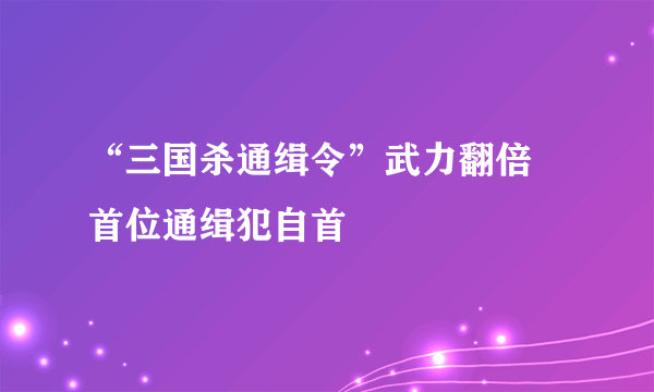 “三国杀通缉令”武力翻倍 首位通缉犯自首