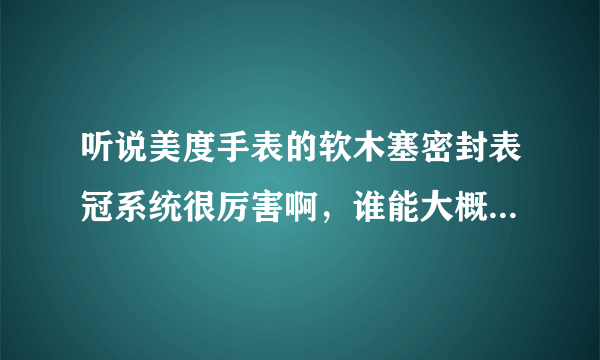 听说美度手表的软木塞密封表冠系统很厉害啊，谁能大概给我解释一下？