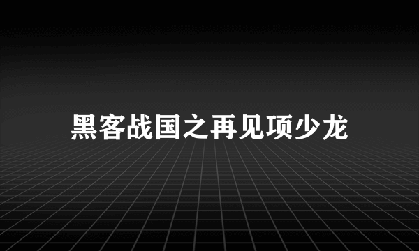 黑客战国之再见项少龙