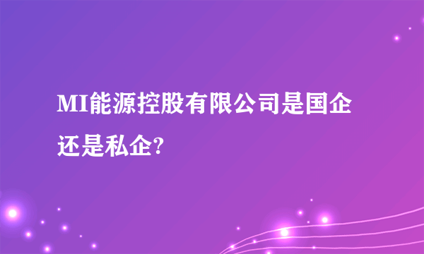 MI能源控股有限公司是国企还是私企?