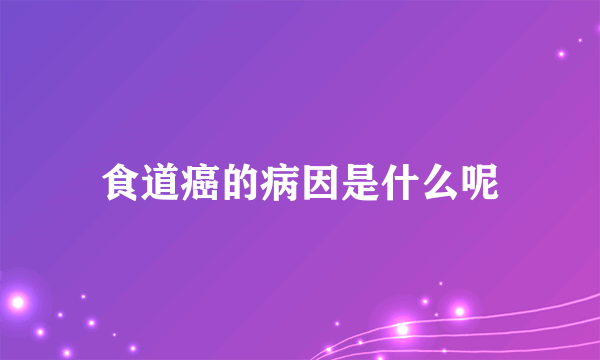 食道癌的病因是什么呢