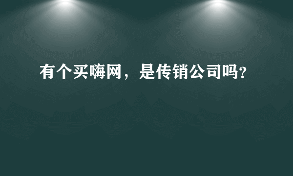 有个买嗨网，是传销公司吗？