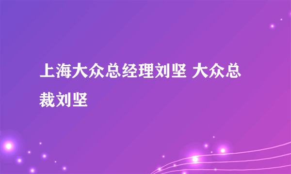 上海大众总经理刘坚 大众总裁刘坚