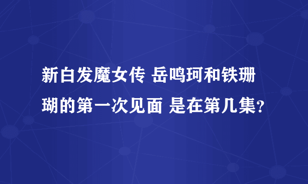 新白发魔女传 岳鸣珂和铁珊瑚的第一次见面 是在第几集？