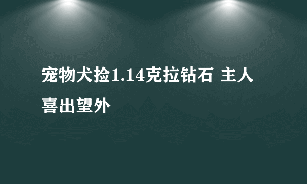 宠物犬捡1.14克拉钻石 主人喜出望外