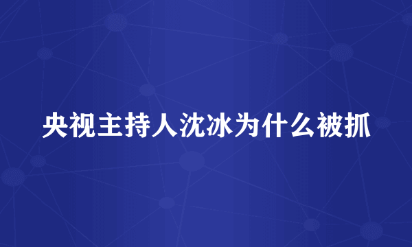 央视主持人沈冰为什么被抓