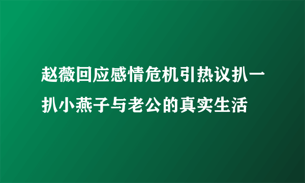 赵薇回应感情危机引热议扒一扒小燕子与老公的真实生活