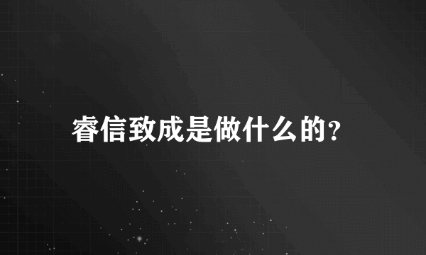 睿信致成是做什么的？