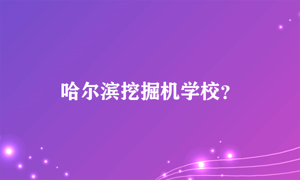 哈尔滨挖掘机学校？