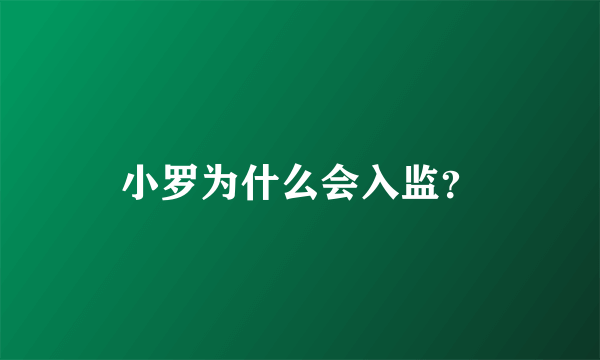 小罗为什么会入监？