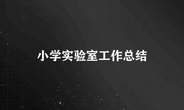 小学实验室工作总结