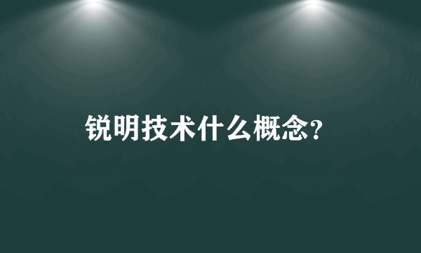 锐明技术什么概念？