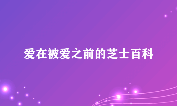 爱在被爱之前的芝士百科