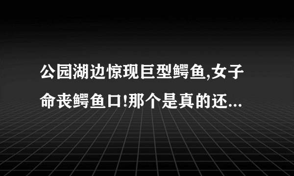 公园湖边惊现巨型鳄鱼,女子命丧鳄鱼口!那个是真的还是假的啊