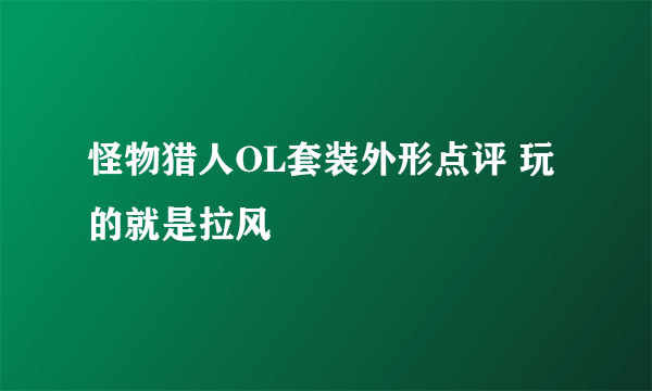 怪物猎人OL套装外形点评 玩的就是拉风