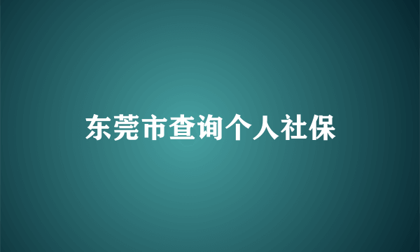 东莞市查询个人社保