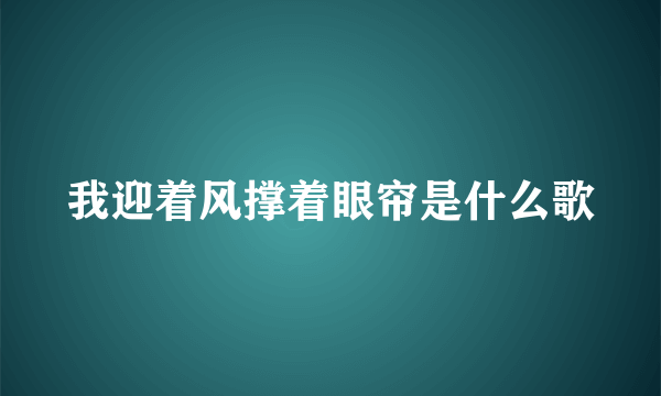 我迎着风撑着眼帘是什么歌