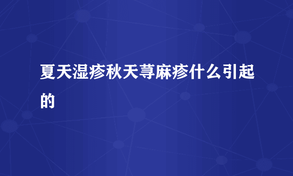 夏天湿疹秋天荨麻疹什么引起的