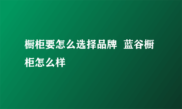 橱柜要怎么选择品牌  蓝谷橱柜怎么样