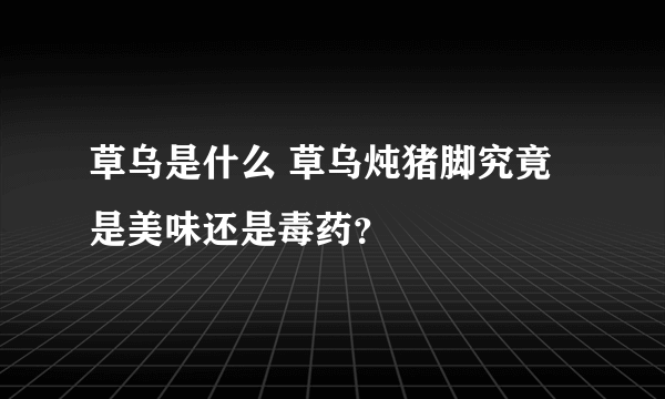 草乌是什么 草乌炖猪脚究竟是美味还是毒药？