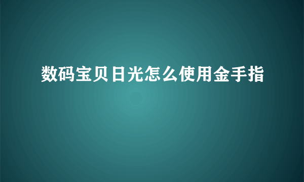 数码宝贝日光怎么使用金手指