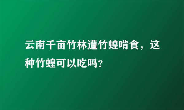 云南千亩竹林遭竹蝗啃食，这种竹蝗可以吃吗？