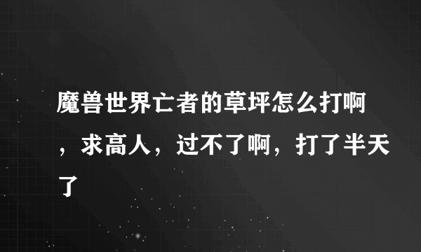 魔兽世界亡者的草坪怎么打啊，求高人，过不了啊，打了半天了