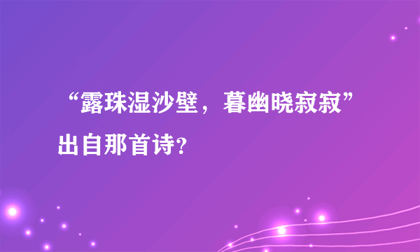 “露珠湿沙壁，暮幽晓寂寂”出自那首诗？