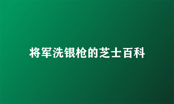 将军洗银枪的芝士百科