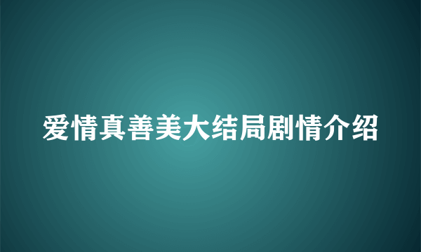 爱情真善美大结局剧情介绍