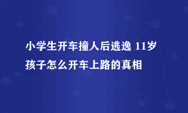 小学生开车撞人后逃逸 11岁孩子怎么开车上路的真相