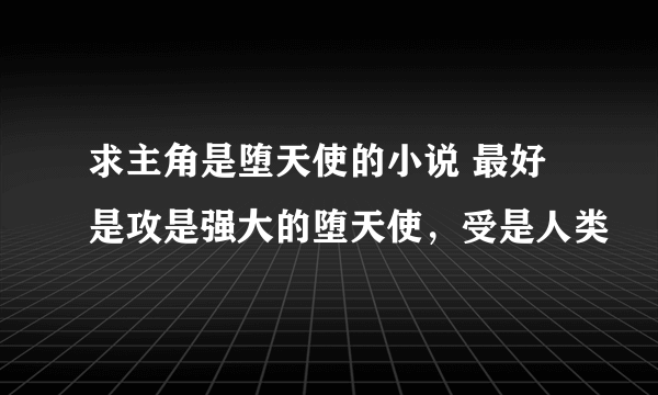 求主角是堕天使的小说 最好是攻是强大的堕天使，受是人类