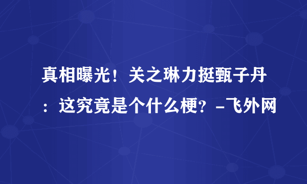 真相曝光！关之琳力挺甄子丹：这究竟是个什么梗？-飞外网