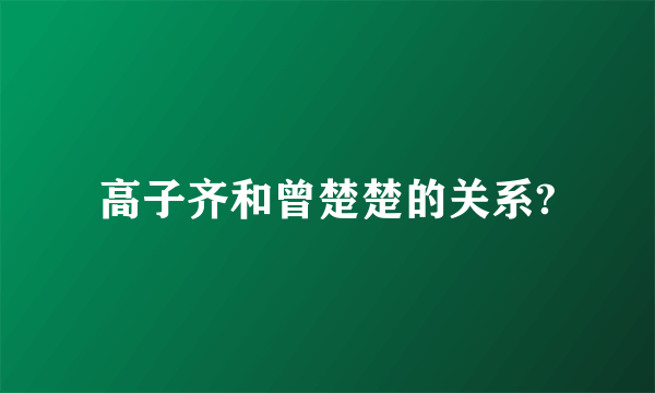 高子齐和曾楚楚的关系?