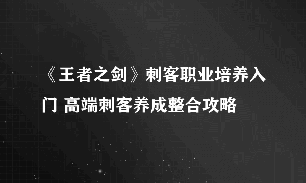 《王者之剑》刺客职业培养入门 高端刺客养成整合攻略