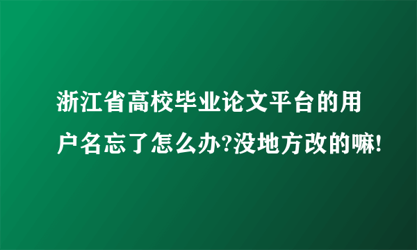 浙江省高校毕业论文平台的用户名忘了怎么办?没地方改的嘛!