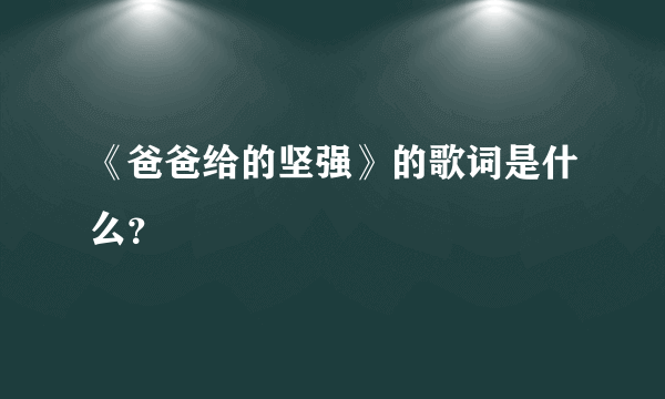 《爸爸给的坚强》的歌词是什么？