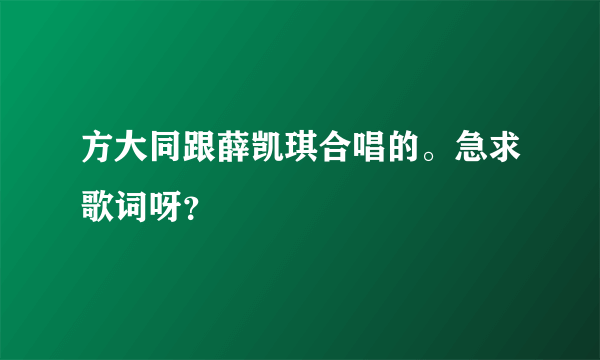 方大同跟薛凯琪合唱的。急求歌词呀？