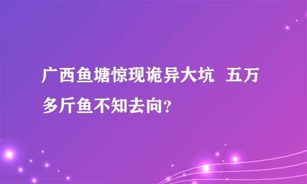 广西鱼塘惊现诡异大坑  五万多斤鱼不知去向？