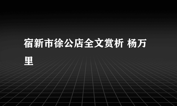 宿新市徐公店全文赏析 杨万里