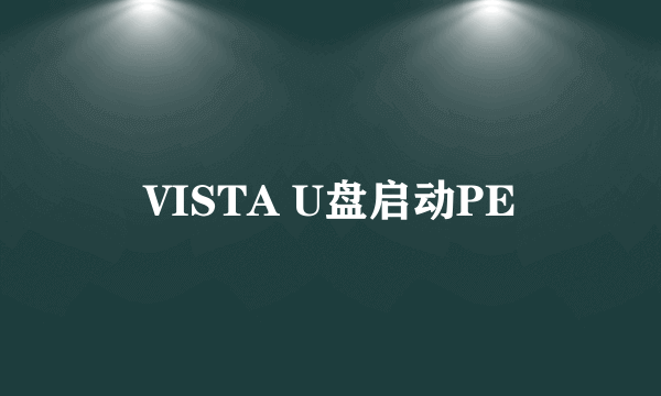 VISTA U盘启动PE