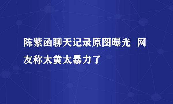 陈紫函聊天记录原图曝光  网友称太黄太暴力了