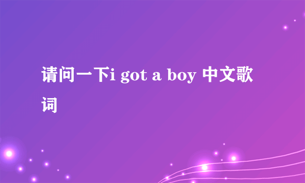 请问一下i got a boy 中文歌词