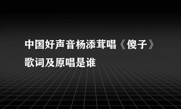 中国好声音杨添茸唱《傻子》歌词及原唱是谁