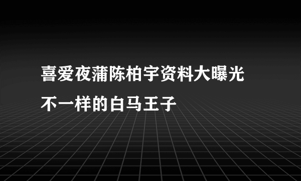 喜爱夜蒲陈柏宇资料大曝光 不一样的白马王子