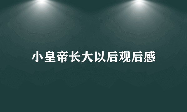 小皇帝长大以后观后感